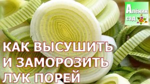 ЛУК-ПОРЕЙ  Как сушить и замораживать?!!