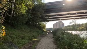 В грозу бродяга спас из реки богатую утопленницу… А заглянув ей под платье, не поверил глазам