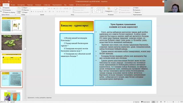 Тамырдың өсу аймағын анықтау смотреть онлайн