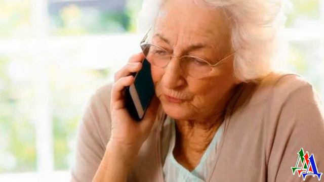 ЖИВУЩИЕ в НОЧИ 17. Эту собаку мне привезли сегодня из Донецка нужно срочно собирать деньги!