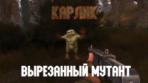 STALKER Тень Чернобыля. Смотр вырезанного мутанта "Карлик"