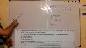 Ядро некоторого изотопа захватывает нейтрон
