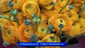 Цветы к 8 марта в Петровском пассаже