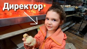 СЕМЕЙНЫЙ БИЗНЕС В ДЕРЕВНЕ / ШЕСТИЛЕТНИЙ РУКОВОДИТЕЛЬ