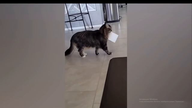 2024-02-07 20-30-11 смотреть онлайн