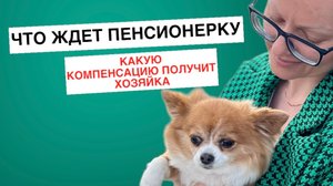 Что ждет пенсионерку, проломившей череп Чихуахуа. Какую компенсацию получит хозяйка собаки.