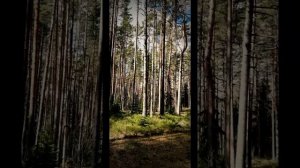 Комарово. Литориновое море.