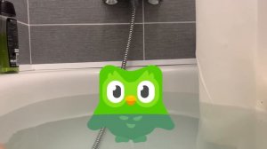 Mini Duolingo