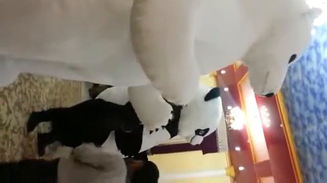 Некачественные китайские пневмокостюмы на празднике. Будьте бдительны! Остерегайтесь подделок. смотреть онлайн