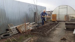 Культиватор "ТОРНАДИКА" Мой новый помощник в огороде.