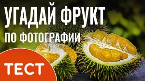 Развлекательный тест: Угадай фрукты по фотографии | Экзотические фрукты