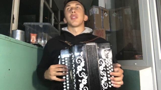 ШУЙСКАЯ ГАРМОНЬ РЕ Мажор