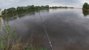 Рыбалка на реке . Приехал ловить чехонь , а поймал толстолоба .