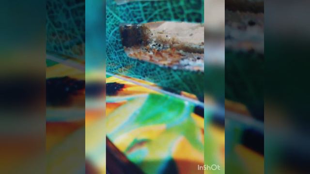 Случилось то, что давно должно было случится смотреть онлайн