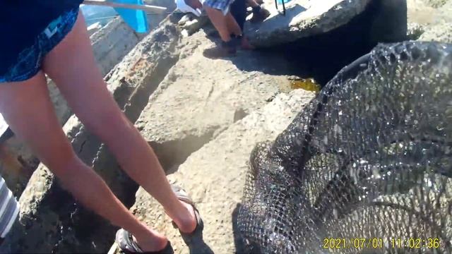 Морская рыбалка на барабулю, Большой Утриш 01.07.21 смотреть онлайн