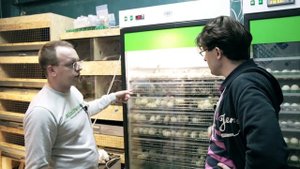 Как получить лучший вывод яиц в инкубаторе. Секреты инкубации индюшки.