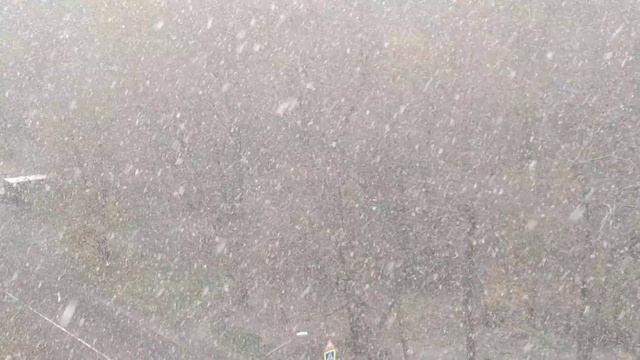 Первый сильный осенний снегопад в Москве/Първият силен есенен снеговалеж в Москва ?️?️?️ смотреть онлайн