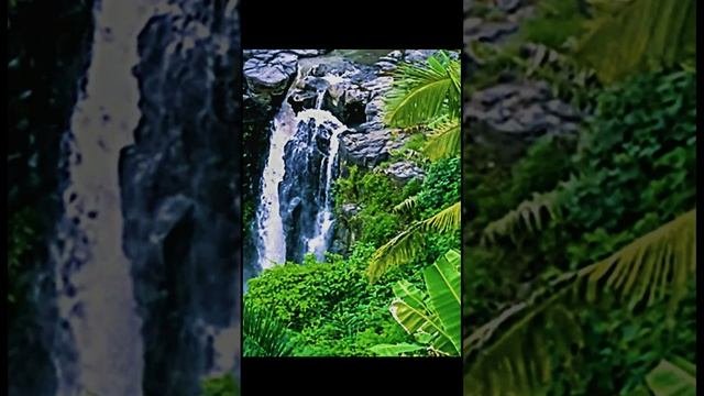 Водопад l Белый шум l Пение птиц l Звук  для расслабления