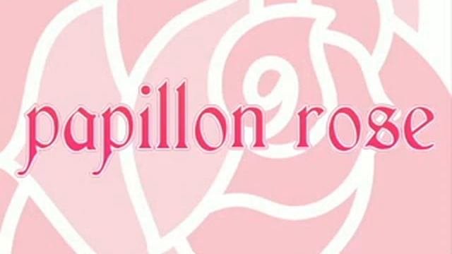 Papillon Rose - Rosseta