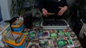 КАПУСТА ПЕКИНСКАЯ, КРАСНОКОЧАННАЯ, ПОЗДНЯЯ И РАННЯЯ  обзоро семян и посев на рассаду.