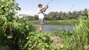 Рыбалка на донки. Караси красавцы р.Дон (21.08.2021)