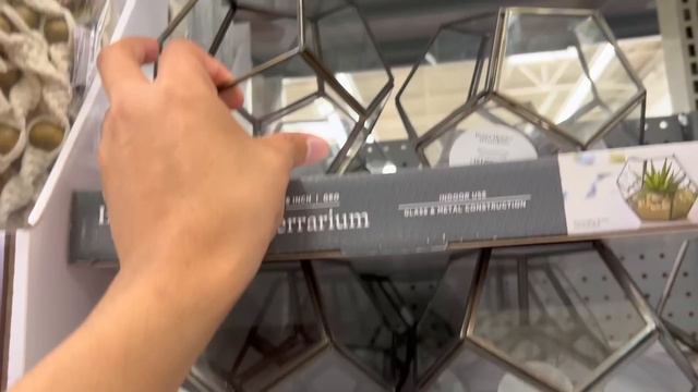 Houseplants on Clearance 50% OFF & All the NEW spring stuff at walmart, cute planters for cheap! смотреть онлайн