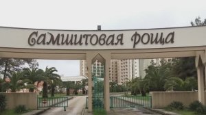Абхазия-2022. Обзор санатория "Самшитовая роща".