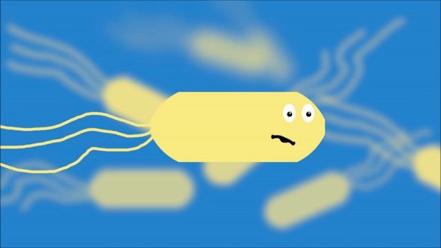 Bacteriophage Lambda - Cro and cI смотреть онлайн