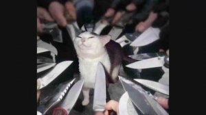 Как научиться кодить С НУЛЯ