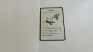 Топ 5 самых полезных свойств в настольной игре Эволюция