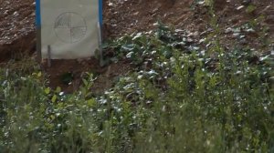 20 калибр, пули Чеддит и Ширинского-Шихматова на 60 шагов