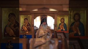 в проповеди схииг. Гавриил упомянул арх. Иеронима