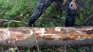 Восстановленный советский хозяйственный топор/молоток.