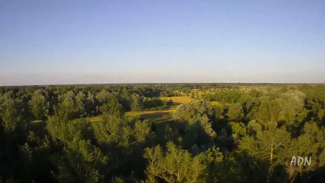 Sunny sky смотреть онлайн