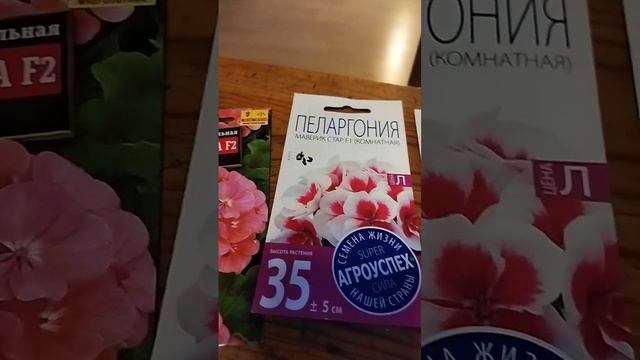 Пополняю коллекцию пеларгоний #цветы #рассадацветов #пеларгония #герань #дача #садогород #цветок смотреть онлайн