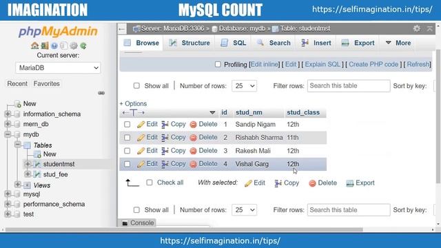 Count Function In MySQL | Count(*), Count With Group, Count( Distinct) #19
