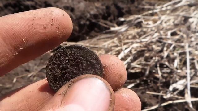 Коп монет 2018 в жилой деревне с металлоискателем minelab.  Найдена медная монета 5 копеек масон