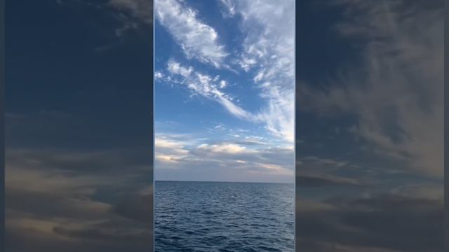 Архипо-Осиповка август 2024 года 🌅 вид с борта катамарана Барракуда 🦈 Видео: Savage смотреть онлайн