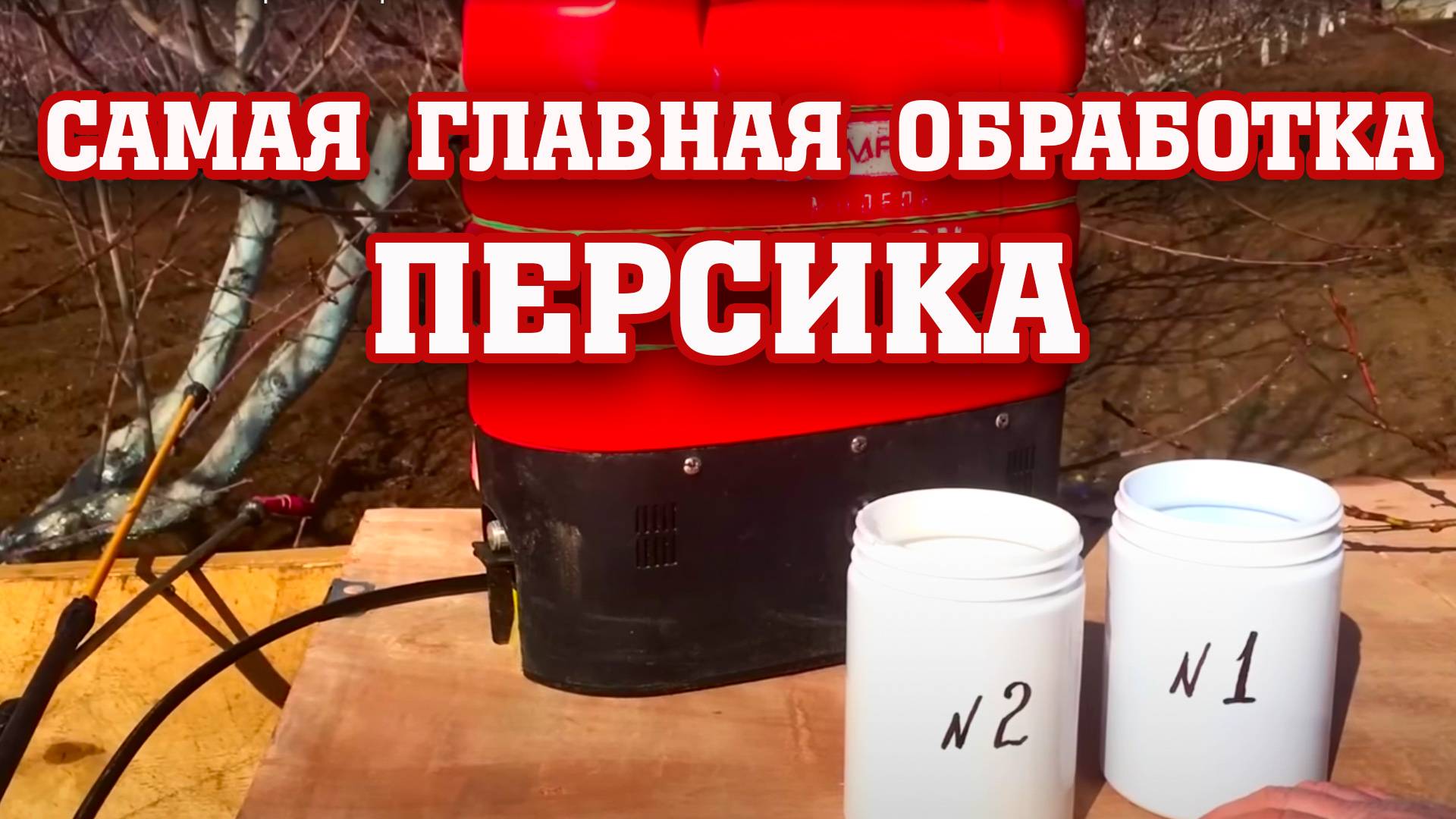 Основная и самая главная обработка персика!!! смотреть онлайн