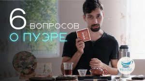 ПУЭР: Вкус, Эффект, Цена, Заваривание — БЫСТРО и ЧЁТКО отвечаем на популярные вопросы