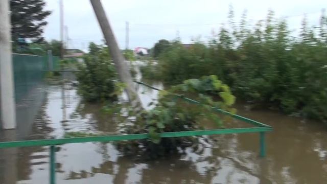 п. Николаевка ЕАО ул. Заозерная 17.08.13. вечер ( продолжение) смотреть онлайн