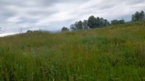 И снова коп на Даниловой горе|Когда металла больше чем земли|Из находок можно собрать трактор|