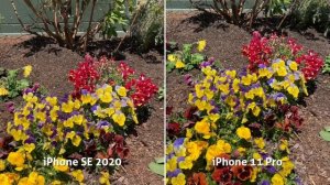 $400 iPhone SE 2020 vs $1000 iPhone 11 Pro: Camera Test Comparison!