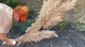 Как крепить цветы на круглую фотозону