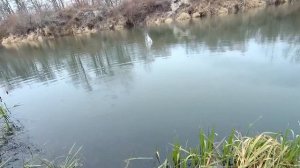 Рыбалка на поплавок в декабре в минусовую погоду.