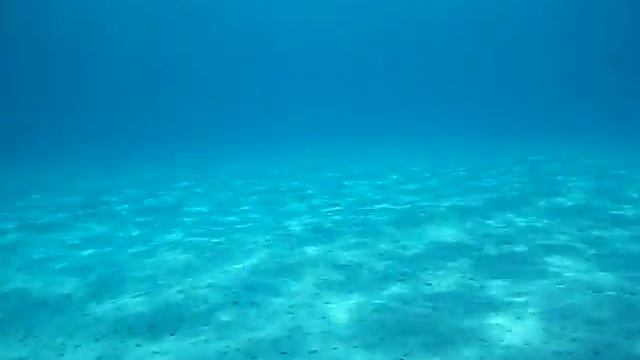 Nimar Nikon Coolpix S2500 Underwater test смотреть онлайн