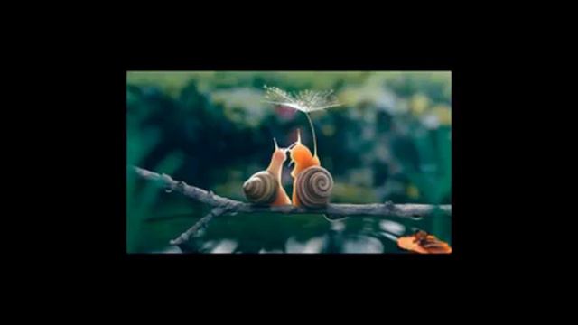 Часть 5(Глава 3) Ешь меньше. смотреть онлайн