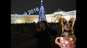 Новый год 2018,празднование закончилось,или здравствуй год Собаки!