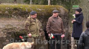 ЯмТВ ДОТ №8  Деревня Кошкино