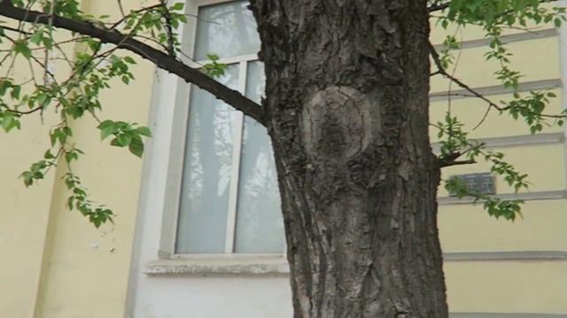 На велике в Лефортовский парк смотреть онлайн